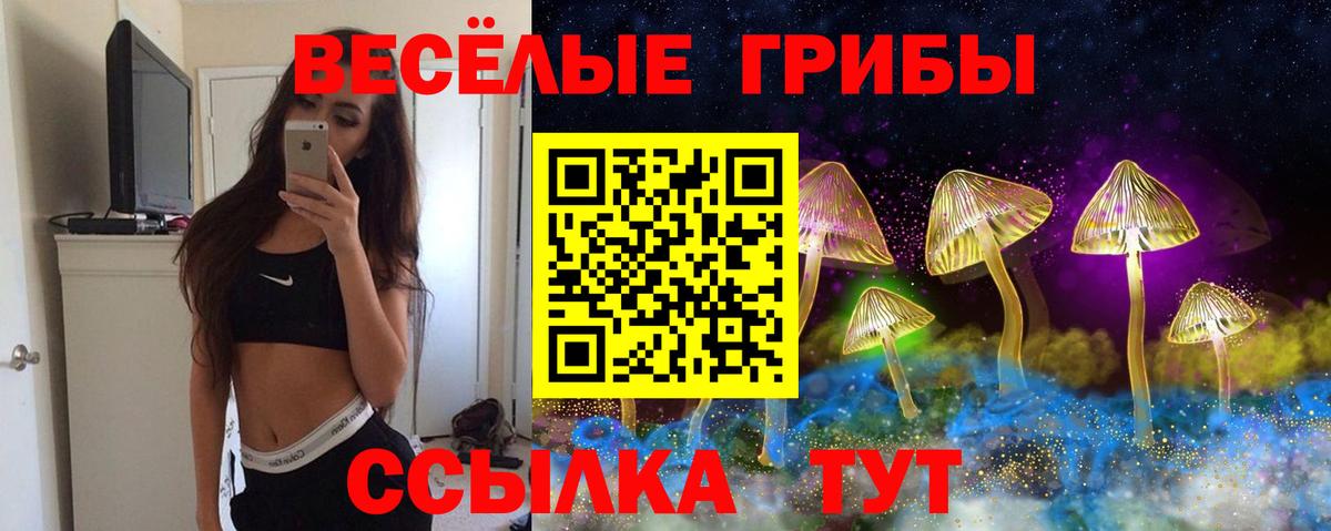 Галлюциногенные грибы мицелий  Вход с VPN  Краснотурьинск 